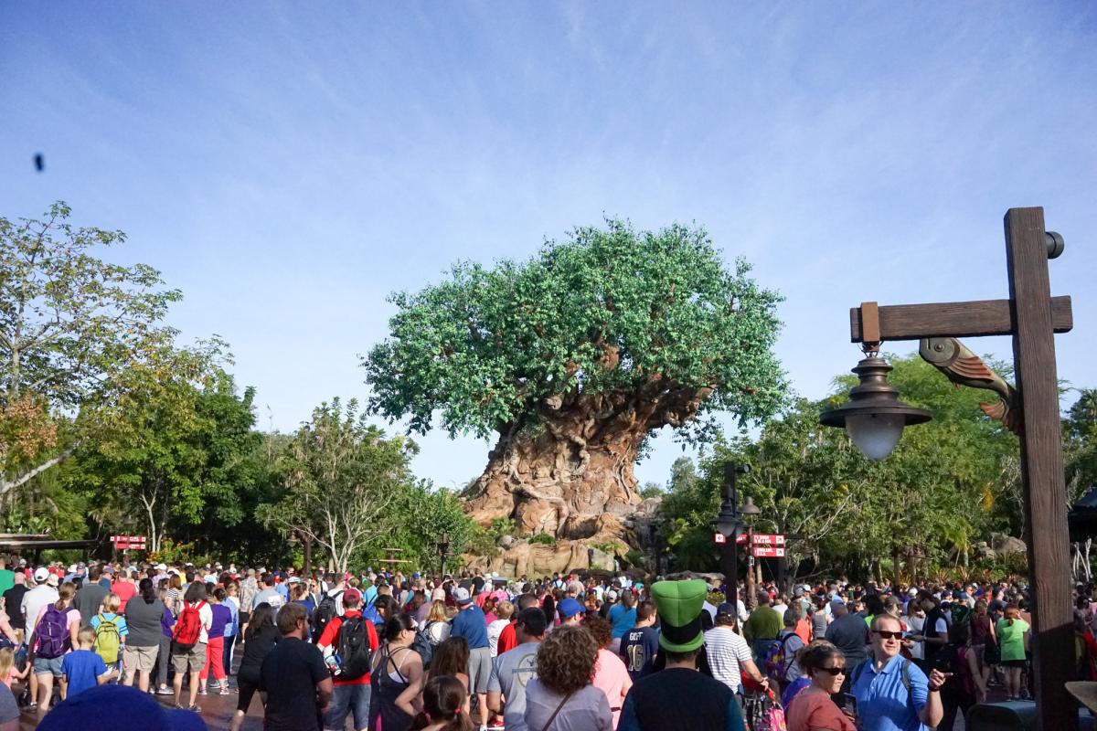 Huge animal kingdom tree