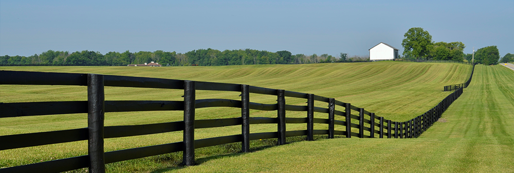 Field with long fenceline