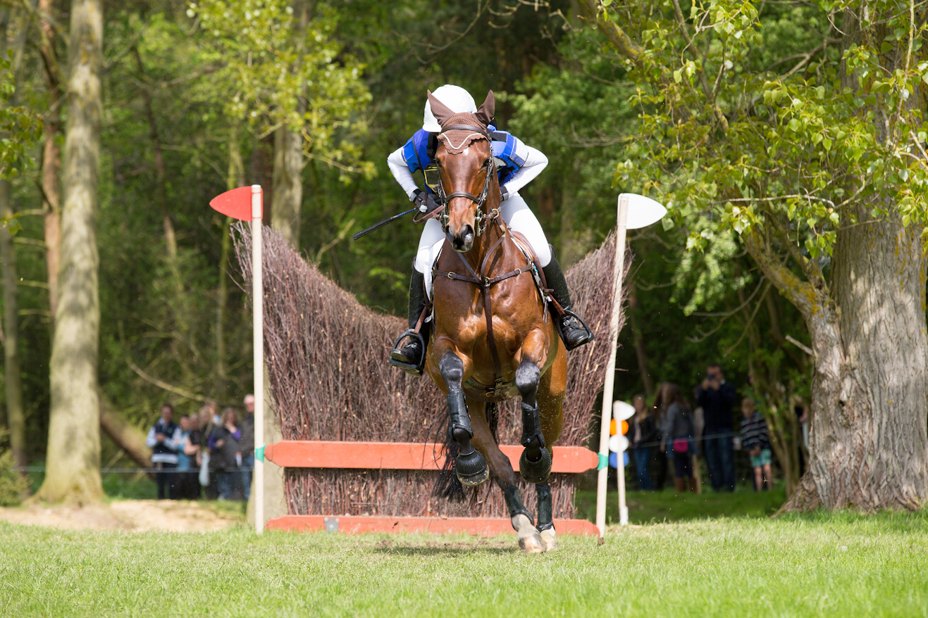 Horse Training