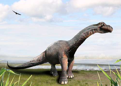 Model of brontosaurus