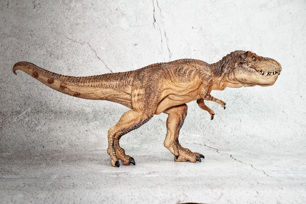 Model of Trex