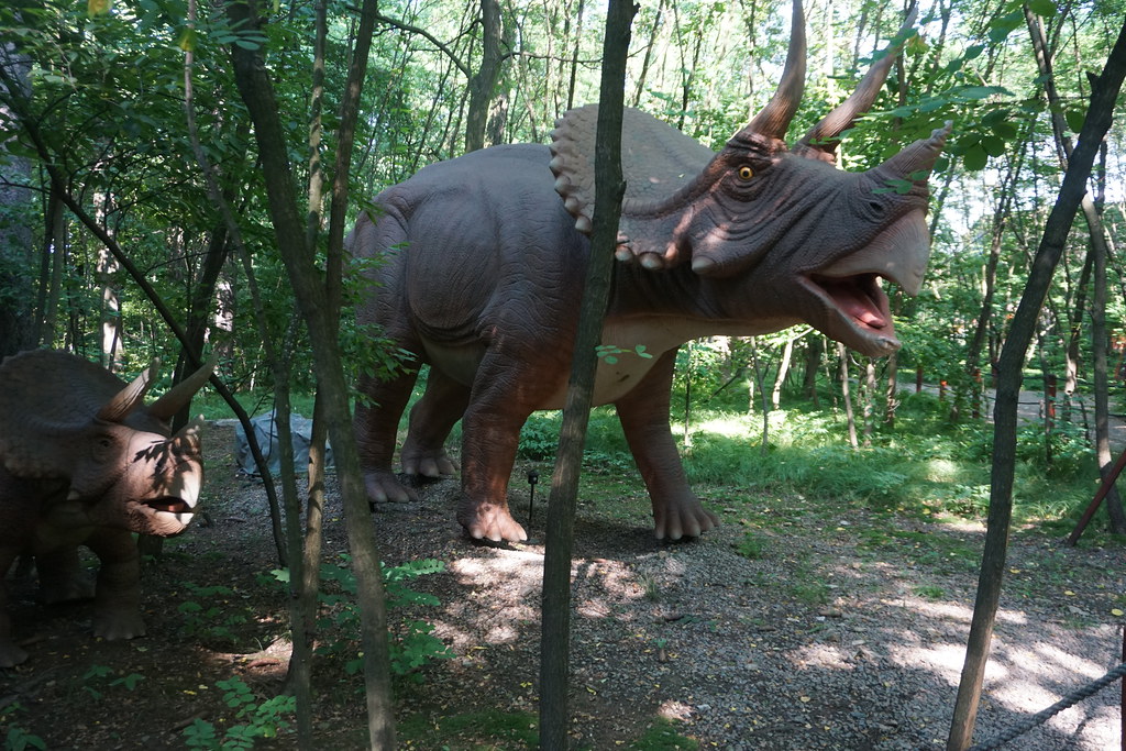 Model of Triceratops