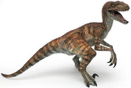 Model of velociraptor
